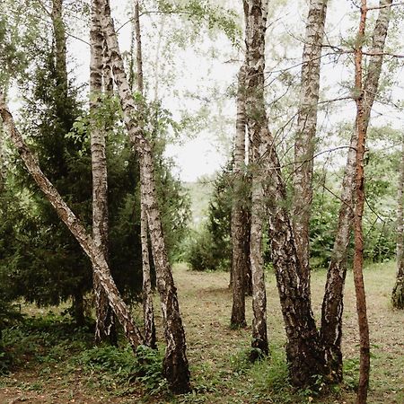 Berzu Namelis - Birch Cabin Kutsyuny Eksteriør bilde