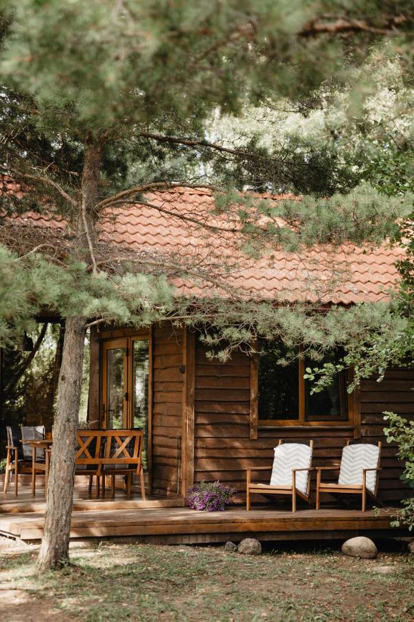 Berzu Namelis - Birch Cabin Kutsyuny Eksteriør bilde
