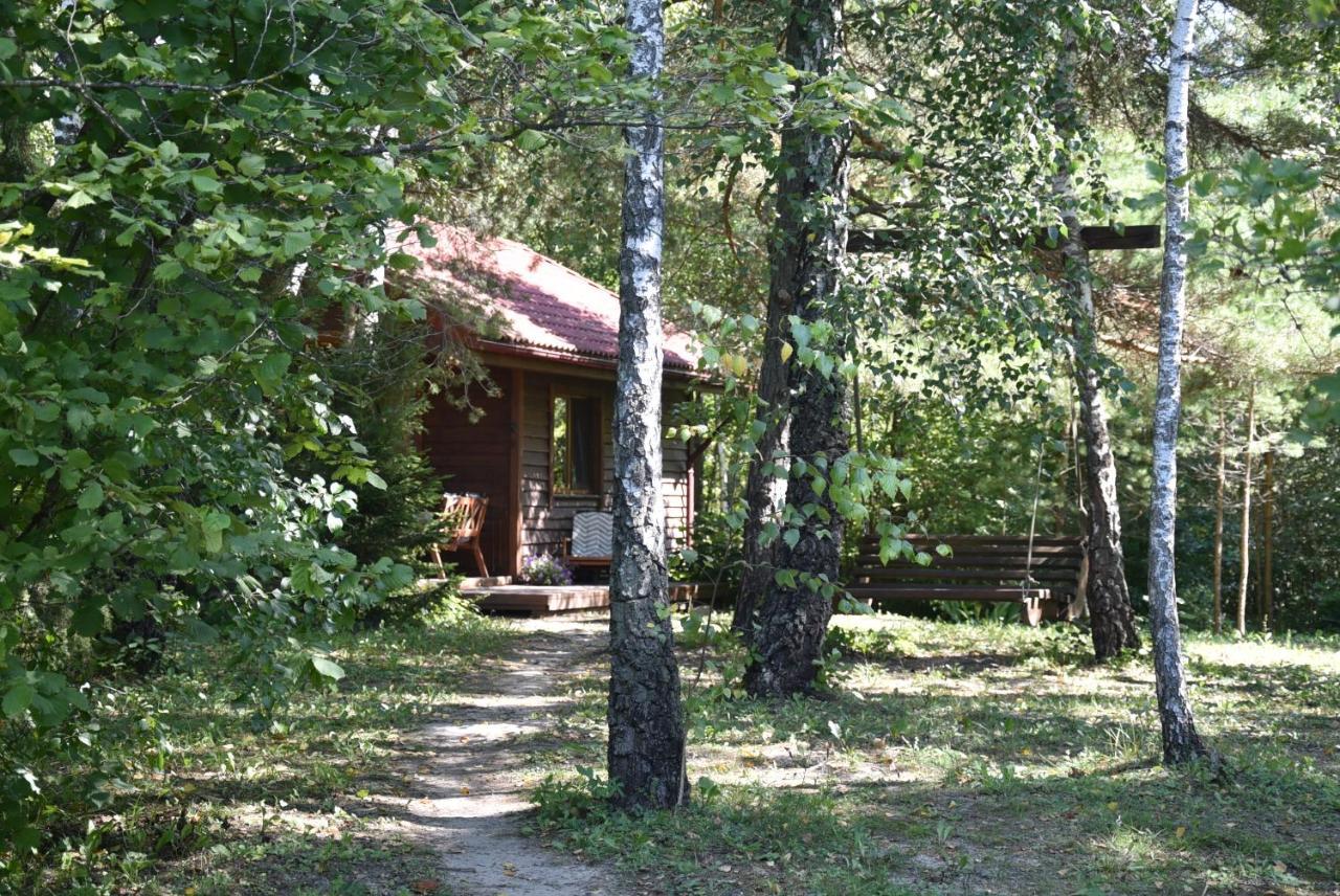 Berzu Namelis - Birch Cabin Kutsyuny Eksteriør bilde