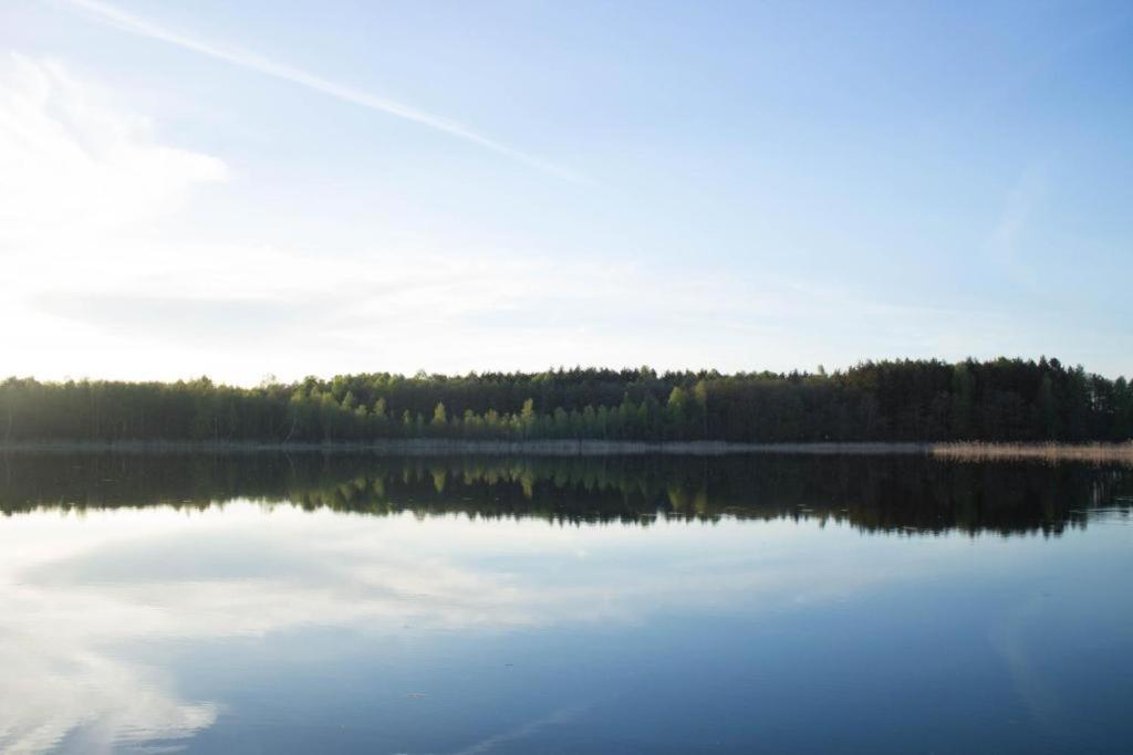 Berzu Namelis - Birch Cabin Kutsyuny Eksteriør bilde