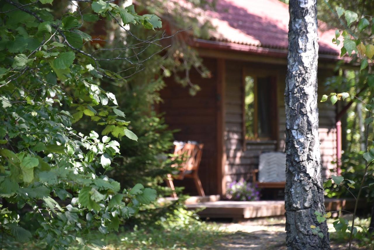 Berzu Namelis - Birch Cabin Kutsyuny Eksteriør bilde