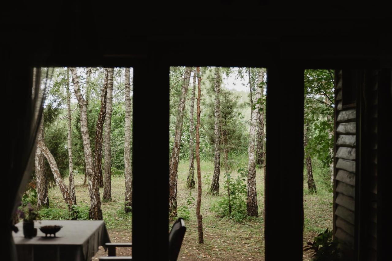 Berzu Namelis - Birch Cabin Kutsyuny Eksteriør bilde