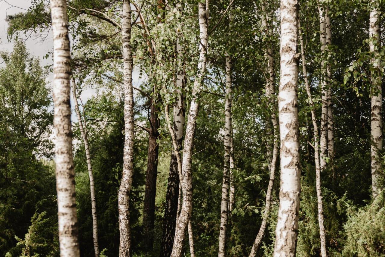 Berzu Namelis - Birch Cabin Kutsyuny Eksteriør bilde