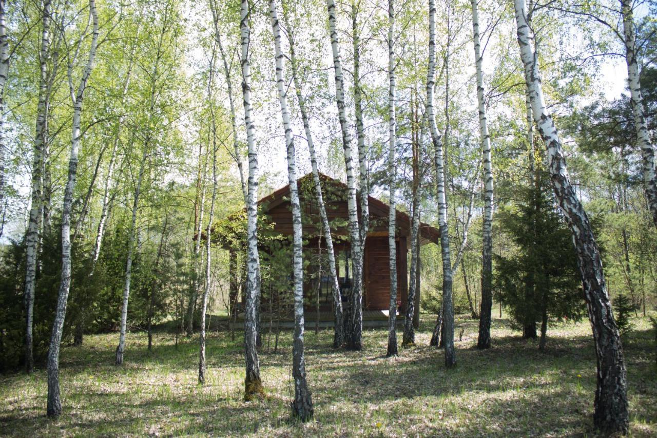 Berzu Namelis - Birch Cabin Kutsyuny Eksteriør bilde